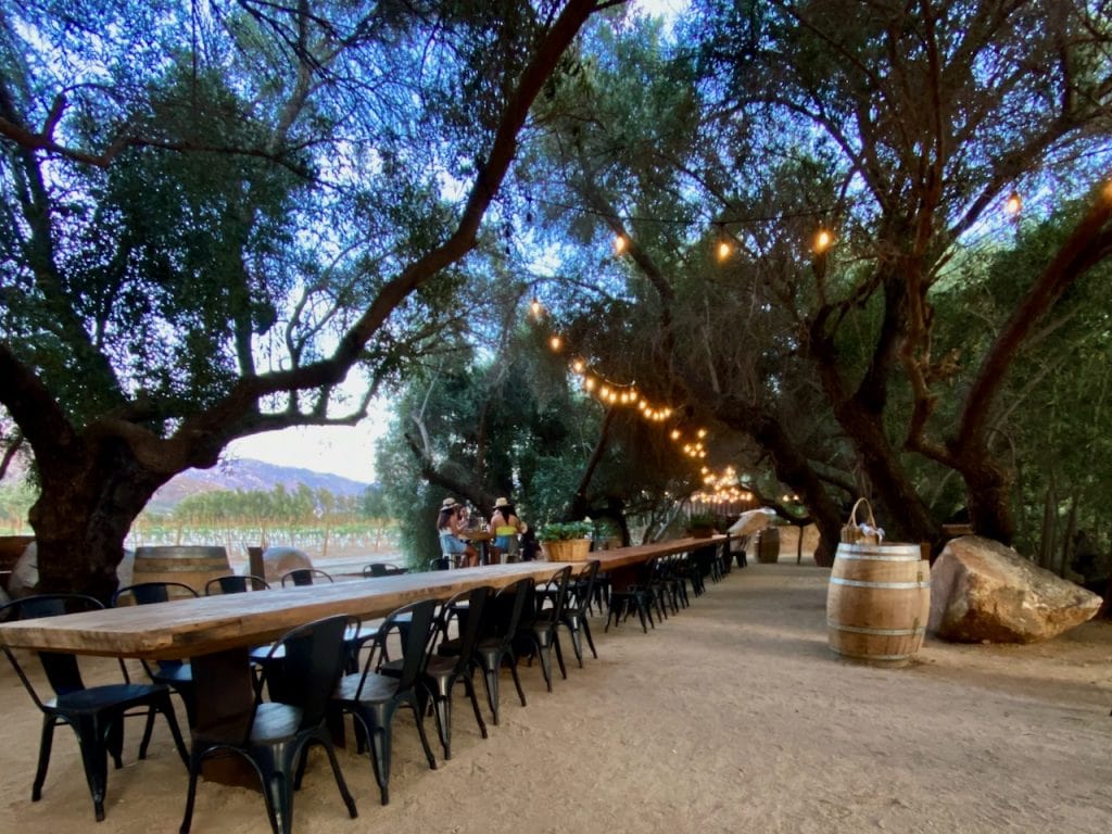 7 Valle de Guadalupe Wineries with Amazing Restaurants